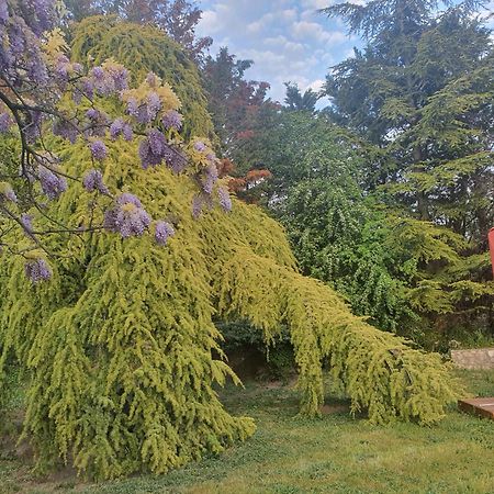 Gite Au Coeur De La Provence & Spa Saint-Cannat Luaran gambar