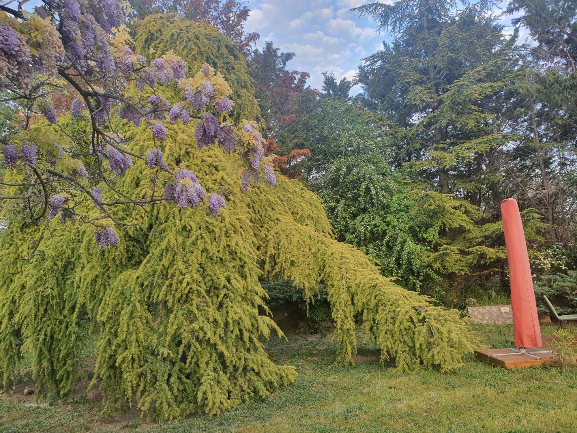 Gite Au Coeur De La Provence & Spa Saint-Cannat Luaran gambar
